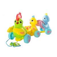 купить Каталка JOY TOY 1283 Птичий оркестр
