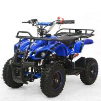 купить Квадроцикл с металлическим корпусом Profi HB-EATV800N-4 (синий)