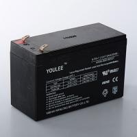 купить Батарея 12V7AH G55-ML63-BATTERY для электромобиля G55 и ML63