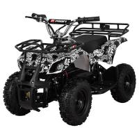 купить Квадроцикл с металлическим корпусом Profi HB-EATV 800N-NEW2 (черепа)