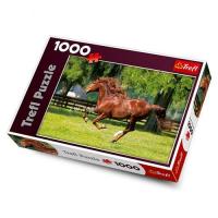 купить Пазлы 10201 Мчатся кони (Trefl пазл) 1000 дет.