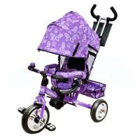 купить Трехколесный велосипед M 0448-8 Profi Trike (сиреневый)