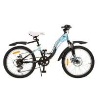 купить Спортивный велосипед 20" Profi G20K419-2 стальной (черно-голубой)