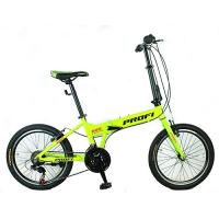 купить Спортивный велосипед 20 дюймов Profi G20RIDE A20.2 (зеленый)