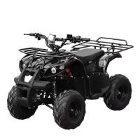 купить Квадроцикл с металлическим корпусом Profi HB-EATV 800N-2 (черный)