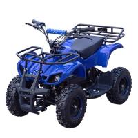 купить Мощный квадроцикл Profi HB-EATV 1000D-4 (сине-черный)
