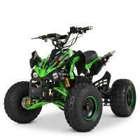 купить Подростковый квадроцикл Profi HB-EATV1500Q2-5(MP3) мотор-дифференциал 1500W (зеленый)