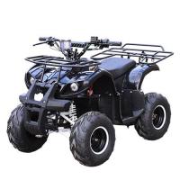 купить Мощный квадроцикл Profi HB-EATV 1000D-2 (черный)