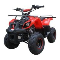 купить Мощный квадроцикл Profi HB-EATV 1000D-3 (красно-черный)