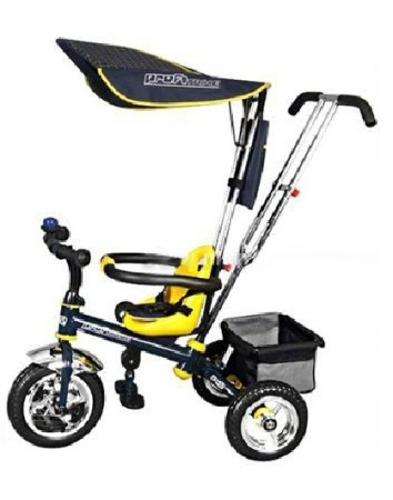 фото Детский трехколесный велосипед Profi Trike M 0209